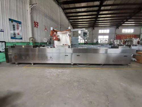 全自動真空包裝設備 現代包裝技術的革新與應用