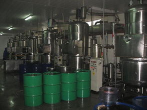 瑞思達(dá)RSD雙室真空油炸機(jī) 高端真空設(shè)備的價(jià)值解析